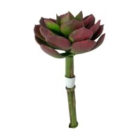 Corel - Suculenta Roja-Verde 12Cm Con Detalles Increíbles