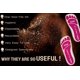 thumbnail image 5 of Almohadillas desechables para bronceado en aerosol para pies, 25 pares (50 pies), 5 of 9