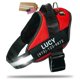 thumbnail image 1 of Arnés para perro Doggykingdom rojo M personalizado y reflectante, 1 of 9