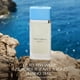 thumbnail image 4 of Perfume Dolce&Gabbana New Light Blue Eau de Toilette, 10 ml, 4 of 7