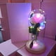 thumbnail image 1 of Cúpula Rosa Led Blanca, 1 of 2