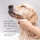 thumbnail image 5 of Champú para perros Veterinary Formula Clinical Care 480 ml, 5 of 8