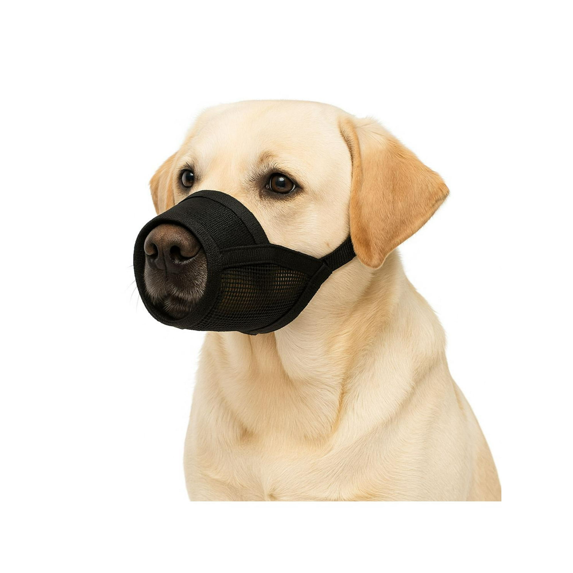 Genérico - Bozal Ajustable Con Velcro Perro Talla L 18x24 Cm Negro L