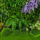 thumbnail image 5 of Rocas de musgo artificiales Giftmeet, 30 piezas, espuma verde, 5 x 3 cm, 5 of 6