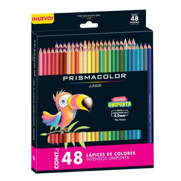 Lápiz Color X48