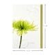 thumbnail image 2 of Sympathy Cards Hallmark Surtido de flores con 12 tarjetas y sobres, 2 of 9