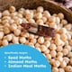 thumbnail image 2 of Trampas para polillas BugMD Pantry Pest Patrol (paquete de 6), 2 of 6