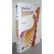thumbnail image 1 of Libro PEARSON EDUCATION Terminología Médica 9ª Ed., 1 of 1