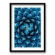 thumbnail image 1 of Cuadro Agave Cactus 70x50cms, 1 of 1