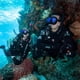 thumbnail image 2 of Snorkel TUSA SP-0101 Hyperdry Elite II para buceo, color negro y rojo, 2 of 7