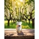 thumbnail image 2 of Eau de parfum Reed Diffuser Eyfel Acacia 120 ml, 2 of 8