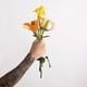 thumbnail image 4 of Perfume Good Chemistry Tiger Lily Eau de Parfume en aerosol para viajes, 4 of 5