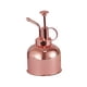thumbnail image 5 of 300ml Metal Planta Flores Regaderas Olla Pulverizador Botella Pulverizador Oro Rosa, 5 of 5