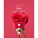 thumbnail image 3 of Perfume Foellie Inner Eau De Bijou, 5 ml, para lencería y ropa interior, 3 of 9