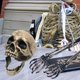 thumbnail image 3 of Set de estacas Sunnyglade Skeleton para decoración de Halloween, 3 of 6