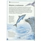 thumbnail image 2 of El magnífico libro de los animales marinos, 2 of 6