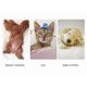 thumbnail image 5 of Manta TÃ©rmica Para Mascotas Cama Calefactora Perros Gatos 45x45cm, 5 of 7