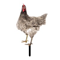 Magideal - Estaca De Gallo Para Jardín, Escultura De Estatua De Jardín De Gallina, Adorno De Césped Para Granja, Vacaciones, Exterior, Cumpleaños, Patio Trasero Estilo A