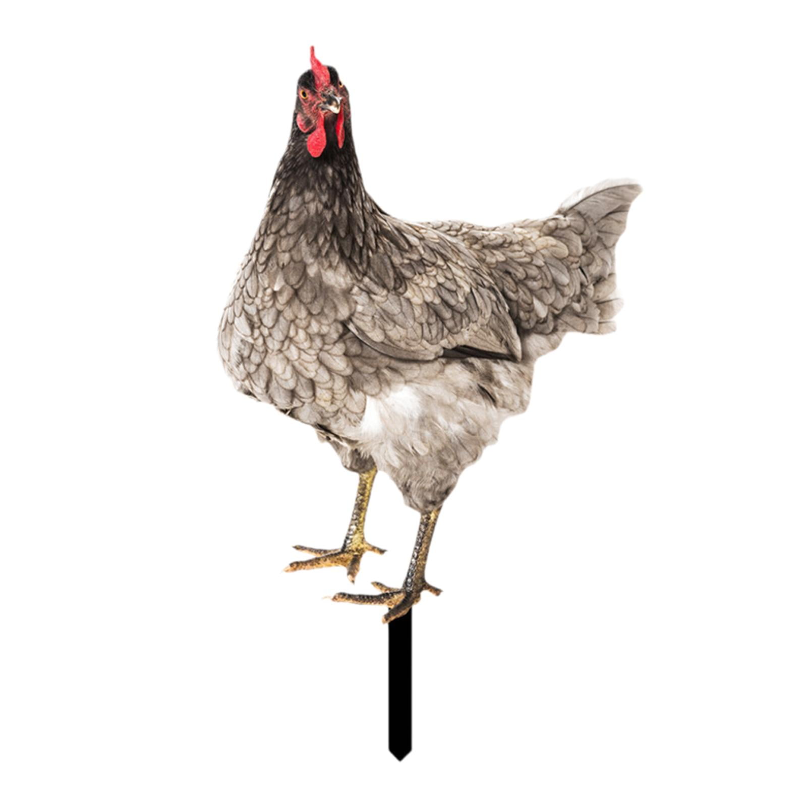 Magideal - Estaca De Gallo Para Jardín, Escultura De Estatua De Jardín De Gallina, Adorno De Césped Para Granja, Vacaciones, Exterior, Cumpleaños, Patio Trasero Estilo A