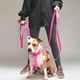 thumbnail image 1 of Correa De Paseo Para Perros Street Dogs Light 3m fucsia, 1 of 4
