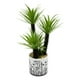 thumbnail image 2 of Planta Artificial Decorativa Adorno Hogar Moderno Jhn, 2 of 3
