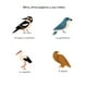 thumbnail image 5 of Primeros descubrimientos – Las casitas de los animales, 5 of 6