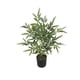 thumbnail image 1 of Planta Artificial Tipo Bamboo. Altura: 60Cm verde, 1 of 3