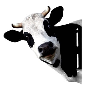 Bothyi - Escultura Artística De Cabezas De Animales Para Comedor, Centro De Mesa Para Colgar En La Pared, Vaca