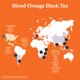 thumbnail image 2 of Té helado preparado Spindrift de naranja sanguina y té negro 355 mL x12, 2 of 7