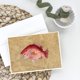 thumbnail image 3 of Tarjetas de Felicitación Caroline's Treasures – Pack de 8 (12,7 × 17,8 cm), 3 of 3