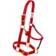 thumbnail image 5 of Cabezada para Caballo Weaver Equine Pequeña en Nylon Color Frambuesa, 5 of 8