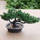thumbnail image 4 of Árbol bonsái artificial, planta falsa en maceta, decoración de plantas artificiales para el hogar, planta bonsái de pino para exhibición de decoración del hogar, 4 of 7