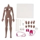 thumbnail image 1 of Escala 1: 6, Forma Europea Súper Flexible, Cuerpo Femenino Sin Costuras, Nueva Piel De Trigo, 1 of 5