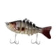 thumbnail image 2 of Se?uelos De Pesca Con Anzuelo Cebos De Pesca Realistas Para La Pesca De Pez Sol En El Río Mar Rojo, 2 of 5