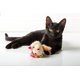 thumbnail image 4 of Ratón vibrador para gatos HARTZ, solo para gatos corriendo, roedores, 4 of 5