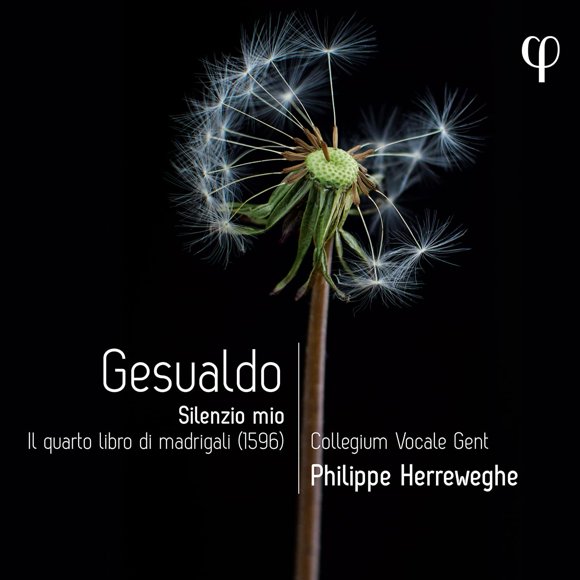 Gesualdo: Silencio mío - El cuarto libro de madrigales