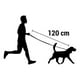 thumbnail image 4 of Correa Anti Tirones Con Resorte Para Perros Mascotas 1x120cm Fucsia, 4 of 5