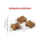 thumbnail image 2 of Royal Canin Alimento para Gatito Kitten 1.5 Kg, 2 of 5