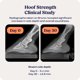 thumbnail image 4 of Polvo Fortalecedor de Cascos Summit Animal Health 311 g, 4 of 5