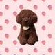 thumbnail image 1 of 1pc, Simulation Teddy Dog Plush Doll(7.87"x3.15"), Cute Soft Puppy Toy, Animal Dolls, Birthday Gifts, Party Gifts, Holiday Supplies, Room Decor, Home Decor, 1 of 3
