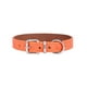 thumbnail image 1 of Collar Perro Eco Cuero 42 cm Diseño Patitas Ajustable naranja, 1 of 7