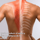 thumbnail image 3 of Pack 10 Unidades Parche Adhesivo Para Zona Cervical, 3 of 6