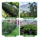 thumbnail image 3 of Huertos Jardines Mallas Antipájaros Protección De Plantas, 3 of 9