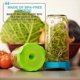 thumbnail image 5 of Mason Jar Sprouting Kit Masontops Bean Screen de plástico, 5 of 7