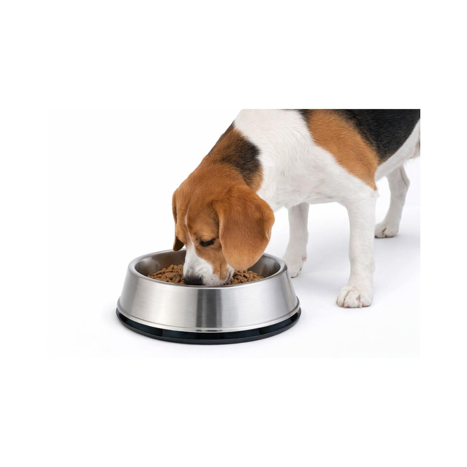 Genérico - Plato Antihormigas Acero Inoxidable Mascotas Xxl 2.7 L