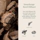 thumbnail image 2 of Difusor de varillas Archipelago Botanicals 224 ml Stonehenge, 2 of 7