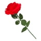thumbnail image 1 of Romántica Caja De Anillo Con Flor De Rosa Roja, Caja De Regalos Para El Día De San Valentín Para Ceremonia Para Esposa, 1 of 5