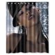 thumbnail image 1 of Cortina de ducha de Alicia Keys, juego de cortinas de baño con ganchos, tamaño 60 x 72 pulgadas, 1 of 3