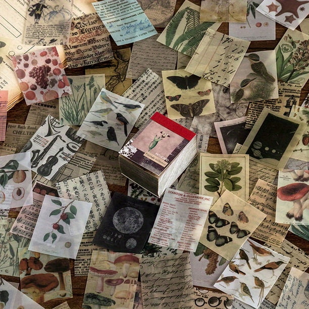 366pcs Fresh Aesthetic Stickers: Plants & Flowers Decor for DIY Art Projects & Personalized Creativity!