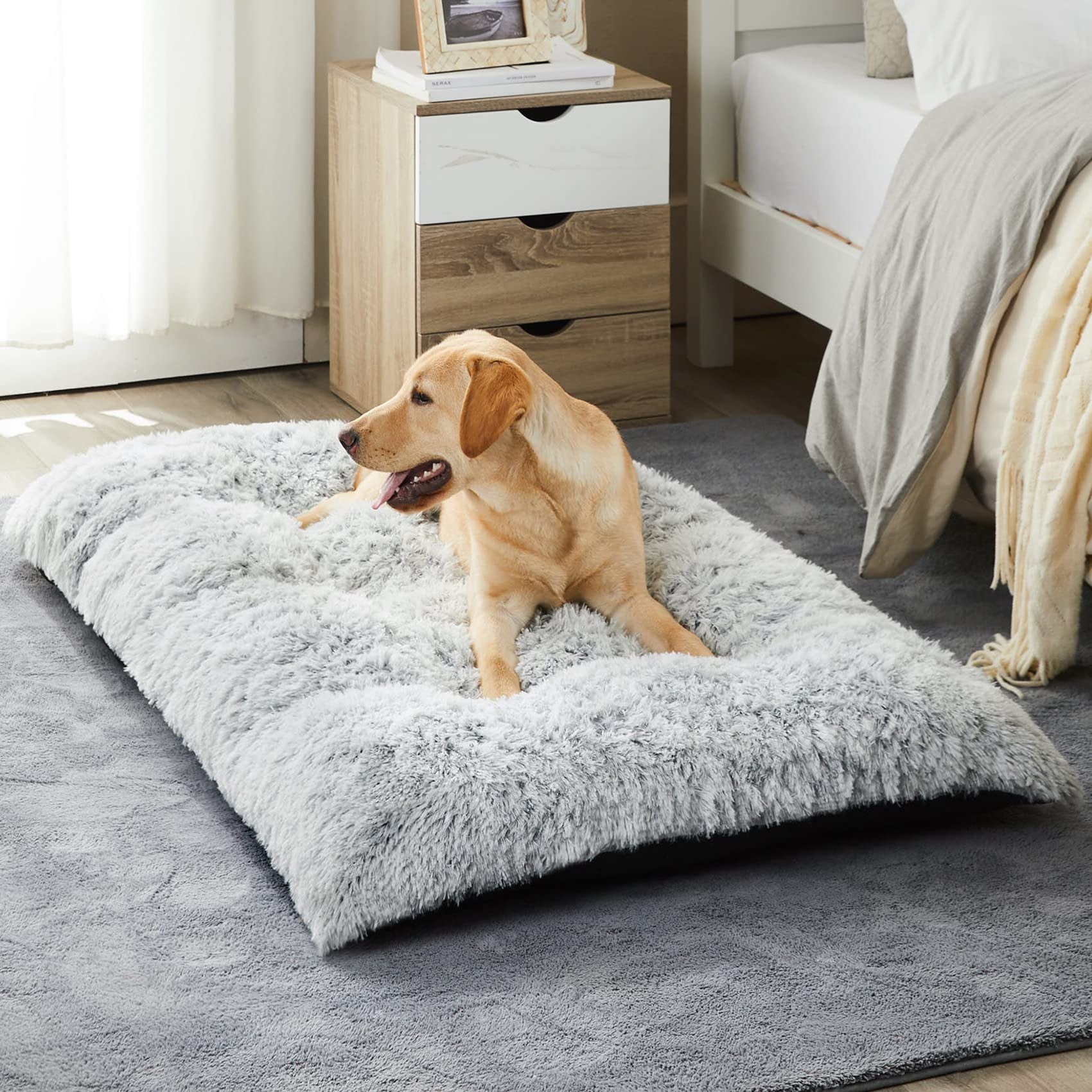 Cama Para Perros Bfpethome De Felpa Para Perros Grandes, 35 X 23 X 10 Cm, Color Gris